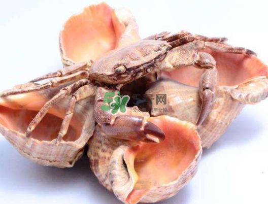 螃蟹殼里的東西是什么？螃蟹殼里什么不能吃？