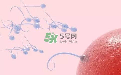 精子在女性體內(nèi)可以存活多久？男性的精子會枯竭嗎？