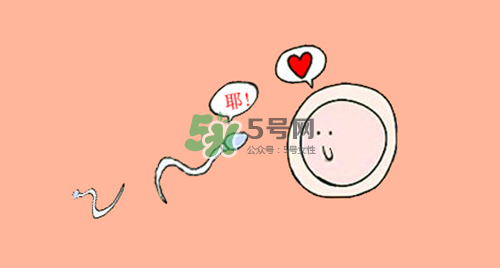 精子在女性體內(nèi)可以存活多久？男性的精子會枯竭嗎？
