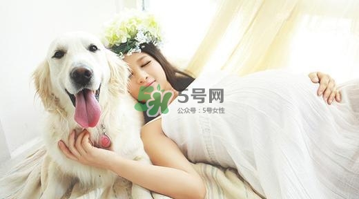 孕婦不能養(yǎng)寵物嗎？為什么孕婦不能養(yǎng)寵物？