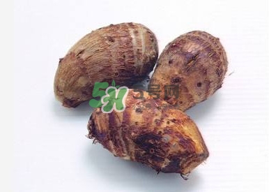 香芋如何種植？香芋的種植方法