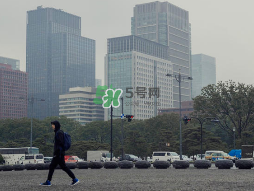citera是什么牌子？citera是什么檔次？