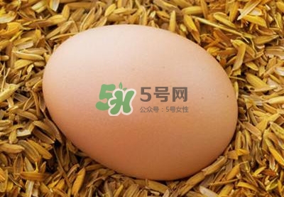 芝麻醬和雞蛋能一起吃嗎？雞蛋可以和芝麻醬一起吃嗎