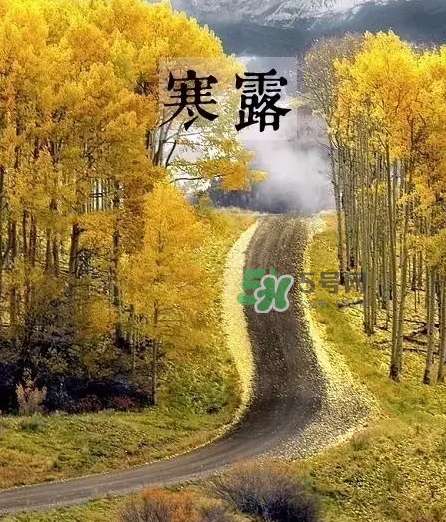 白露是寒露嗎？白露和寒露的區(qū)別