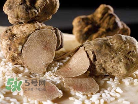 松露為什么那么貴？松露為什么這么貴？