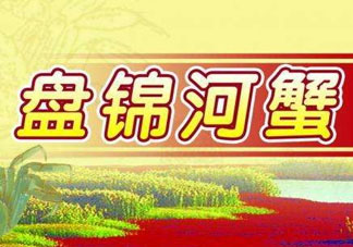 盤錦河蟹批發(fā)市場在哪？盤錦河蟹哪里最正宗？