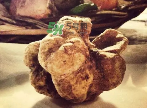 世界上評(píng)價(jià)較高的松露品種是什么？白松露和黑松露哪個(gè)好