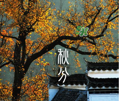 2017秋分會(huì)下雨嗎？2017秋分下雨好不好？