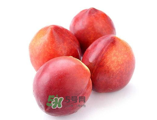 九月份還有桃子嗎？9月份成熟的桃子有幾種？