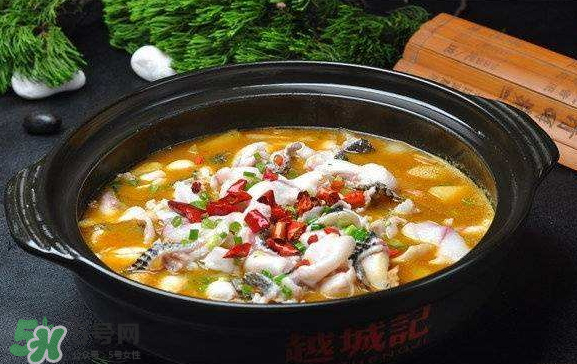 黑魚(yú)可以做水煮魚(yú)嗎？水煮黑魚(yú)的做法