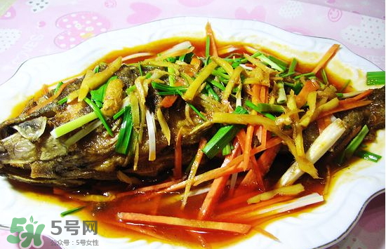 黑魚(yú)能愈合傷口嗎？黑魚(yú)為什么對(duì)傷口愈合？