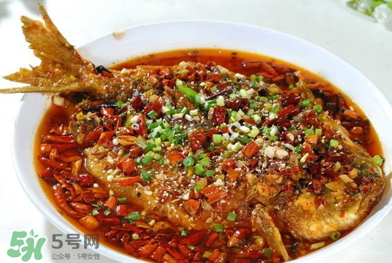 黑魚(yú)能愈合傷口嗎？黑魚(yú)為什么對(duì)傷口愈合？