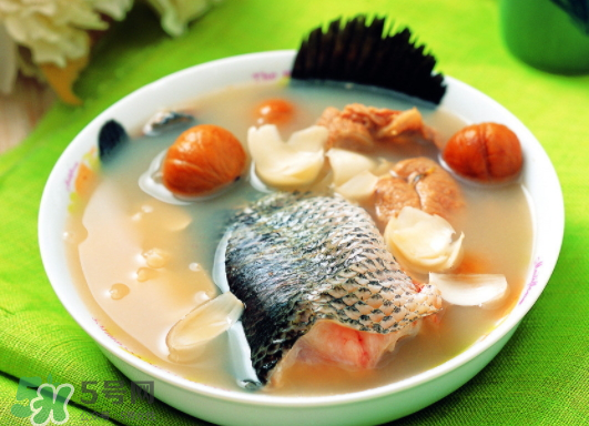 黑魚(yú)能愈合傷口嗎？黑魚(yú)為什么對(duì)傷口愈合？