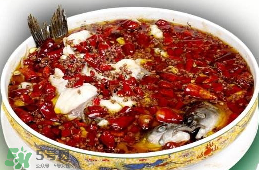 鯉魚可以做水煮魚嗎？水煮鯉魚的做法