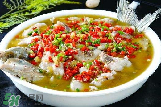 鯉魚可以做水煮魚嗎？水煮鯉魚的做法