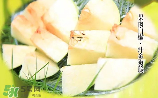 綠寶石梨多少錢一斤？綠寶石梨價格表