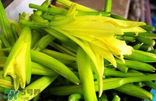 黃花菜開(kāi)花了還能吃嗎？開(kāi)花的黃花菜可以吃嗎