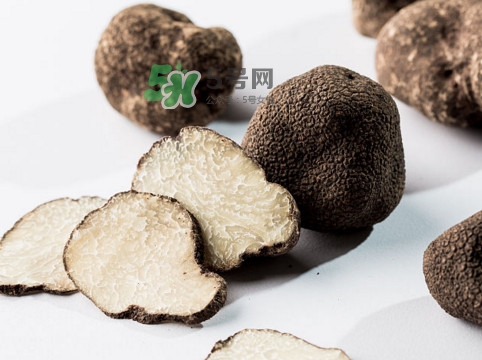 松露對女人有什么好處？松露對男人有什么好處