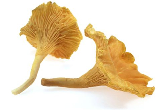 雞油菌怎么清洗？雞油菌要焯水嗎