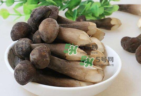 雞樅菌多少錢一斤？干雞樅菌多少錢一斤