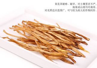 新鮮黃花菜怎么保存？干黃花菜怎么保存