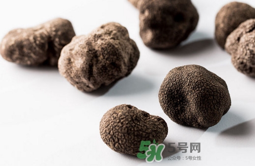 松露對女人有什么好處？松露對男人有什么好處