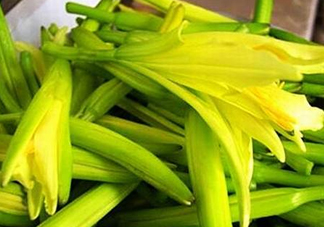 黃花菜開(kāi)花了還能吃嗎？開(kāi)花的黃花菜可以吃嗎