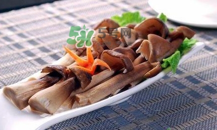 雞樅菌和松茸哪個(gè)更好？雞樅菌有什么營養(yǎng)