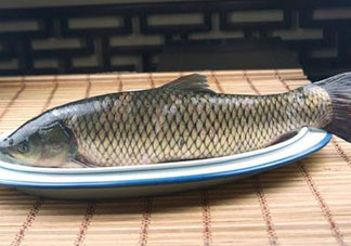 黑魚可以清蒸嗎？黑魚蒸多久？