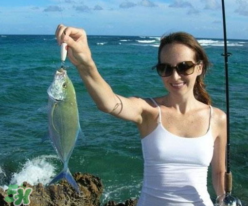 9月份釣什么魚？9月份釣草魚嗎？