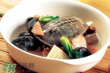 產(chǎn)婦能吃甲魚嗎？產(chǎn)婦能吃甲魚湯嗎？