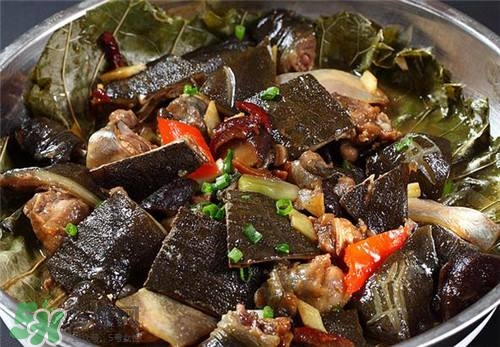甲魚(yú)湯下奶嗎？下奶的食物有哪些？