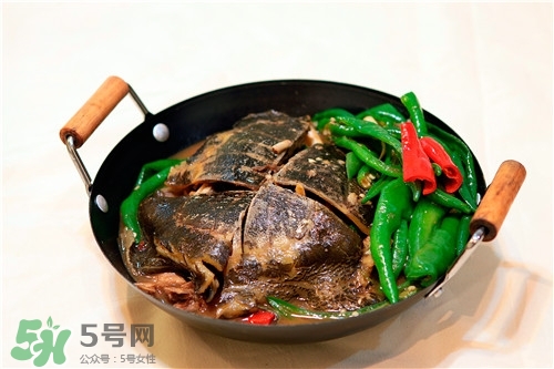 甲魚湯是涼性的嗎？甲魚湯的禁忌人群