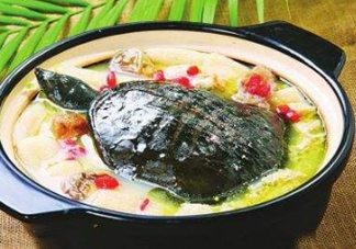 甲魚湯下奶嗎？下奶的食物有哪些？
