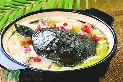 甲魚(yú)湯下奶嗎？下奶的食物有哪些？