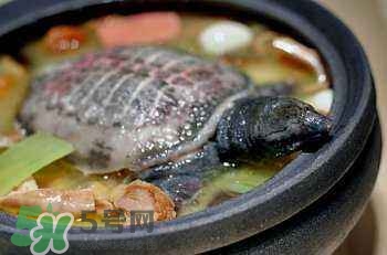 產(chǎn)婦能吃甲魚嗎？產(chǎn)婦能吃甲魚湯嗎？