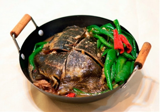 甲魚湯是涼性的嗎？甲魚湯的禁忌人群