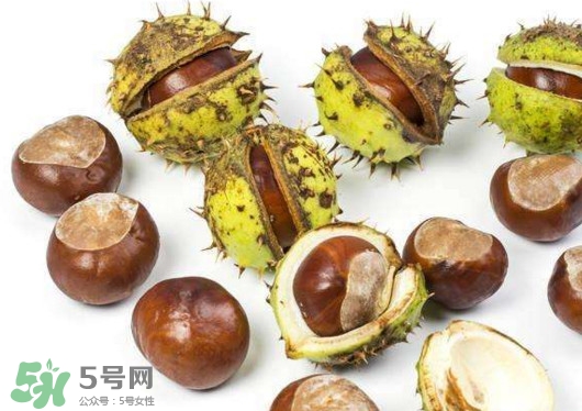 板栗殼怎么好剝？怎樣剝板栗殼最快