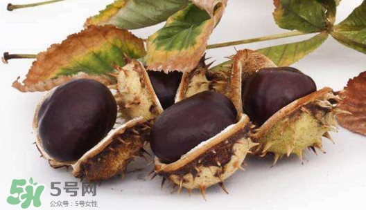 板栗殼里面的皮能吃嗎？板栗殼有什么作用