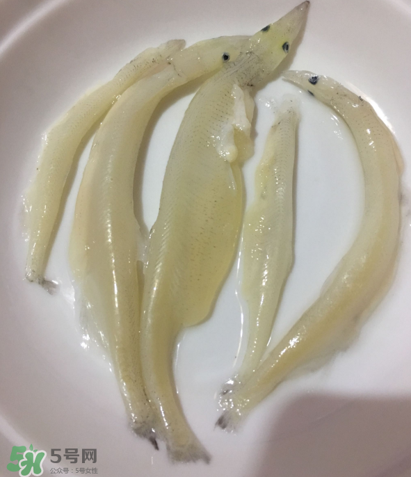 大銀魚怎么做好吃？大銀魚的做法大全