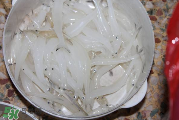 大銀魚多少錢一斤？大銀魚怎么洗？
