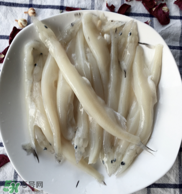 大銀魚多少錢一斤？大銀魚怎么洗？
