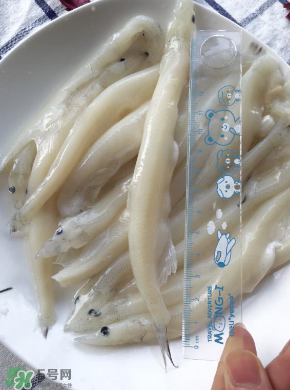 大銀魚多少錢一斤？大銀魚怎么洗？