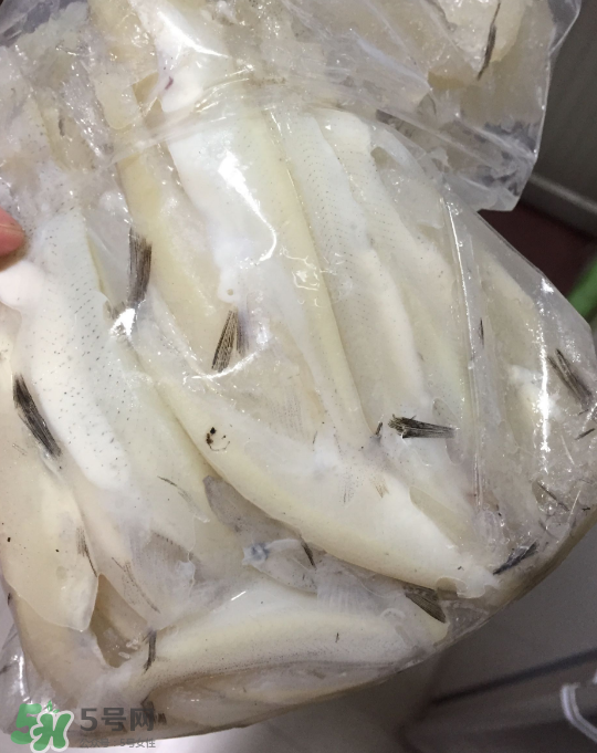 銀魚可以煲粥嗎？銀魚可以包餃子嗎？