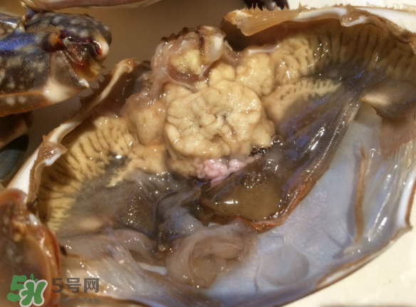 梭子蟹是野生的嗎？梭子蟹養(yǎng)的還是野生的？