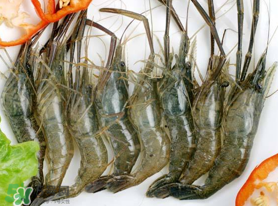 河蝦是海鮮嗎？河蝦屬于海鮮嗎？
