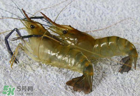 河蝦是酸性還是堿性？河蝦是涼性還是熱性？