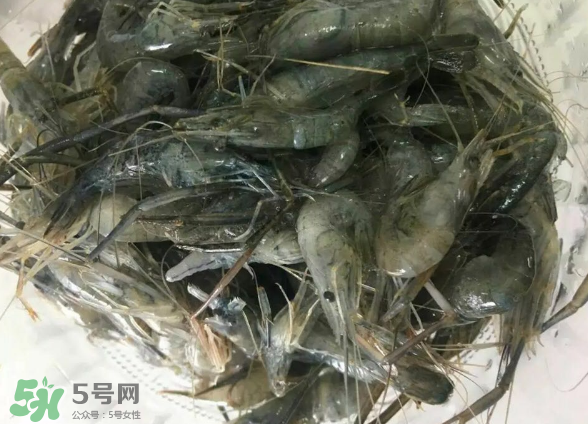 河蝦是基圍蝦嗎？河蝦是辛辣食物嗎？