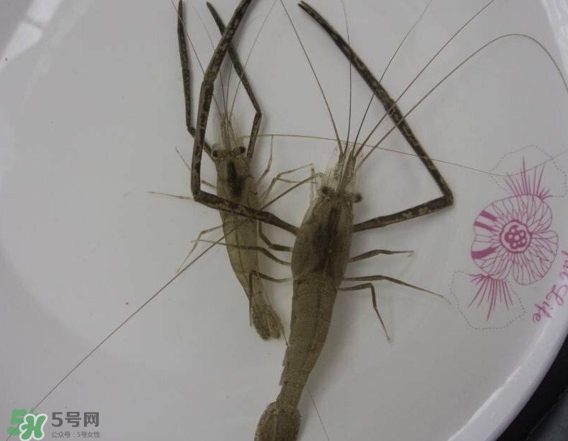 河蝦可以和牛奶同食嗎？河蝦和牛奶能一起吃嗎？