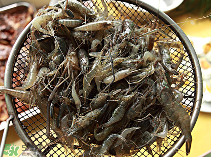 河蝦可以吃頭嗎？蝦頭到底能不能吃？